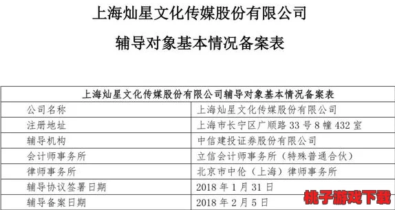 星空传媒沈娜娜面试功能介绍：全面解析面试流程、评分标准及候选人评估技巧