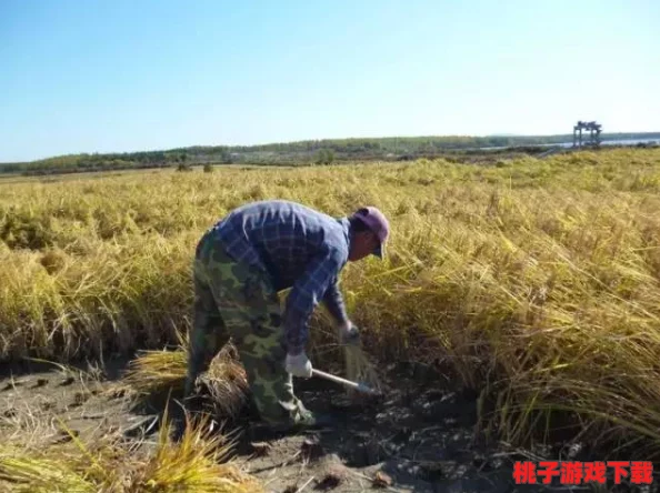 情侣插秧竟遭意外大雨袭击，农田瞬间变成汪洋，令人惊愕的场景让人心疼！