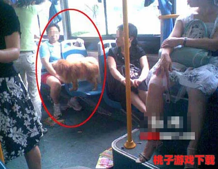 公交车上忘穿内裤被c好爽，路人都惊呆了，竟然发生了这样的事情！
